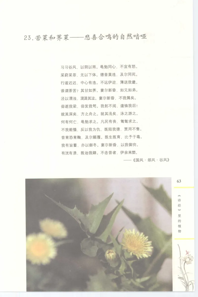 37.《美人如诗草木如织：诗经里的植物》[深圳一石编著][天津教育出版社][978-7-5309-4931-3][2007.7][P221]_绝版书_天涯系列_t涯_《天涯神贴去水印纯干货收藏版-汇总版》天涯的干货[pdf]