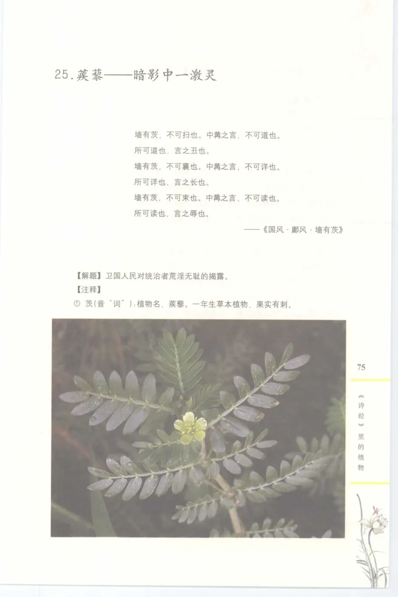 37.《美人如诗草木如织：诗经里的植物》[深圳一石编著][天津教育出版社][978-7-5309-4931-3][2007.7][P221]_绝版书_天涯系列_t涯_《天涯神贴去水印纯干货收藏版-汇总版》天涯的干货[pdf]