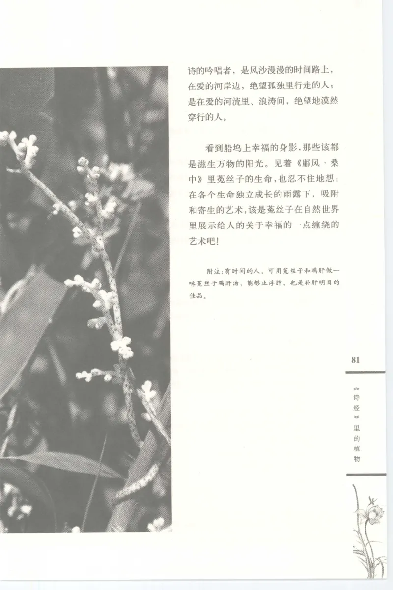 37.《美人如诗草木如织：诗经里的植物》[深圳一石编著][天津教育出版社][978-7-5309-4931-3][2007.7][P221]_绝版书_天涯系列_t涯_《天涯神贴去水印纯干货收藏版-汇总版》天涯的干货[pdf]