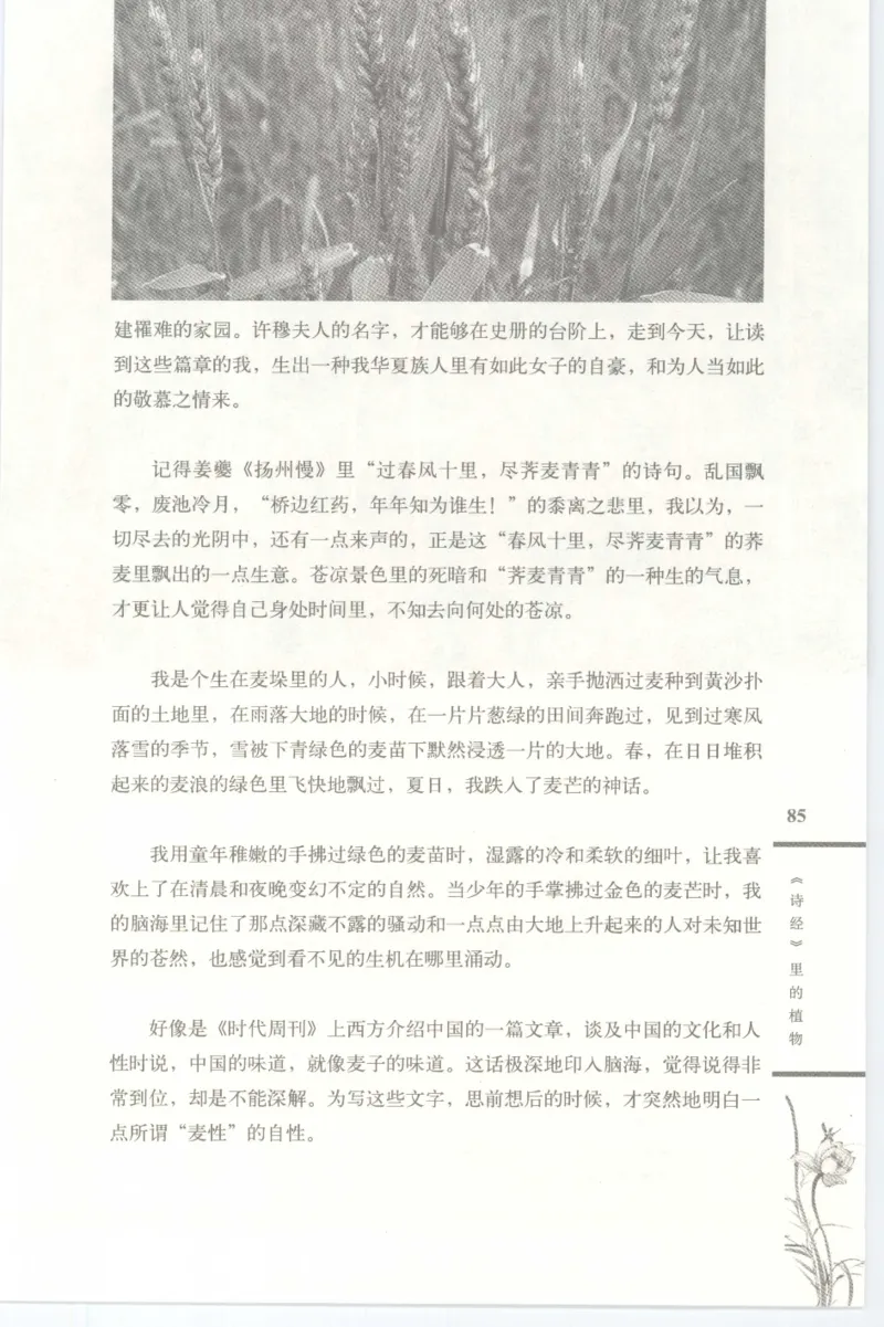 37.《美人如诗草木如织：诗经里的植物》[深圳一石编著][天津教育出版社][978-7-5309-4931-3][2007.7][P221]_绝版书_天涯系列_t涯_《天涯神贴去水印纯干货收藏版-汇总版》天涯的干货[pdf]