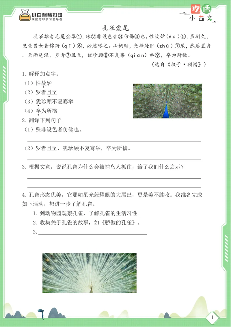 四年级文言文阅读理解59篇（含答案）_25秋小学语数英习题试卷_语文_小学文言文小古文练习