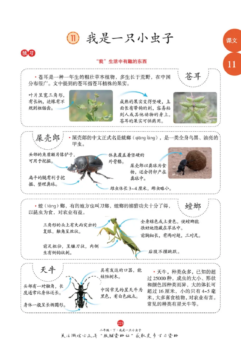 绘本课堂二年级下册语文部编版A1_二年级上下册资料_小学二年级学习资料-25年更新版_2-02、小学二年级语文下册_2-2-2、练习题、作业、试题、试卷_电子册类