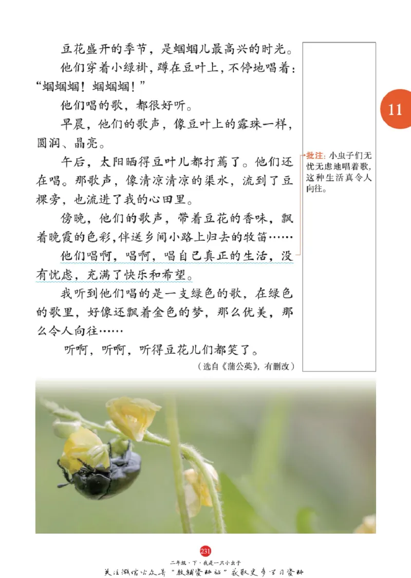 绘本课堂二年级下册语文部编版A1_二年级上下册资料_小学二年级学习资料-25年更新版_2-02、小学二年级语文下册_2-2-2、练习题、作业、试题、试卷_电子册类