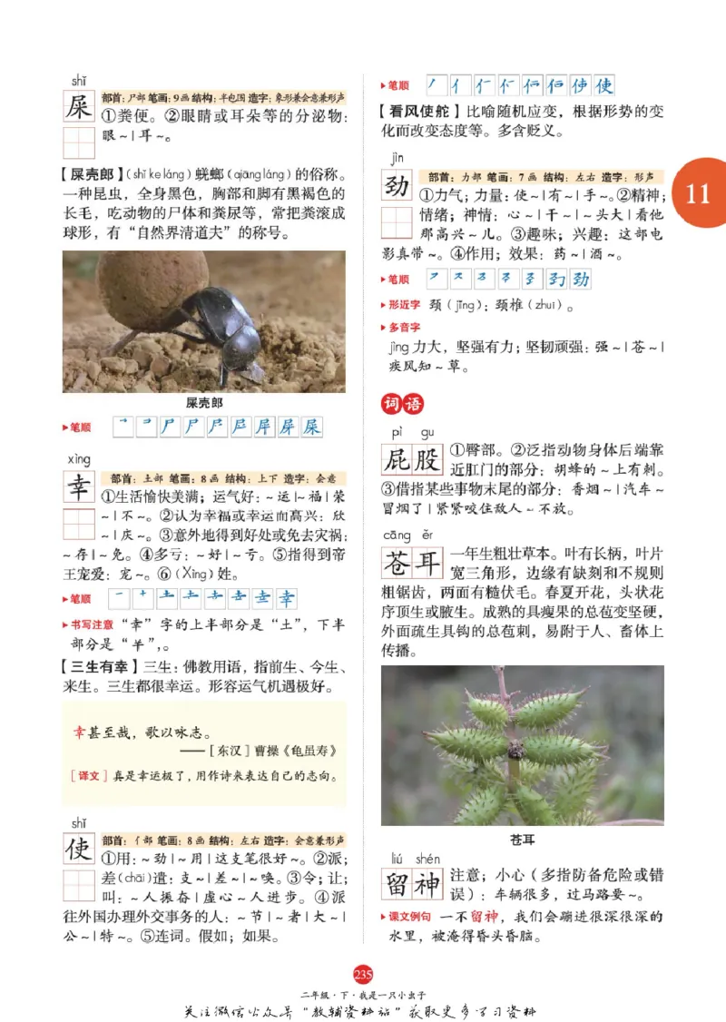 绘本课堂二年级下册语文部编版A1_二年级上下册资料_小学二年级学习资料-25年更新版_2-02、小学二年级语文下册_2-2-2、练习题、作业、试题、试卷_电子册类