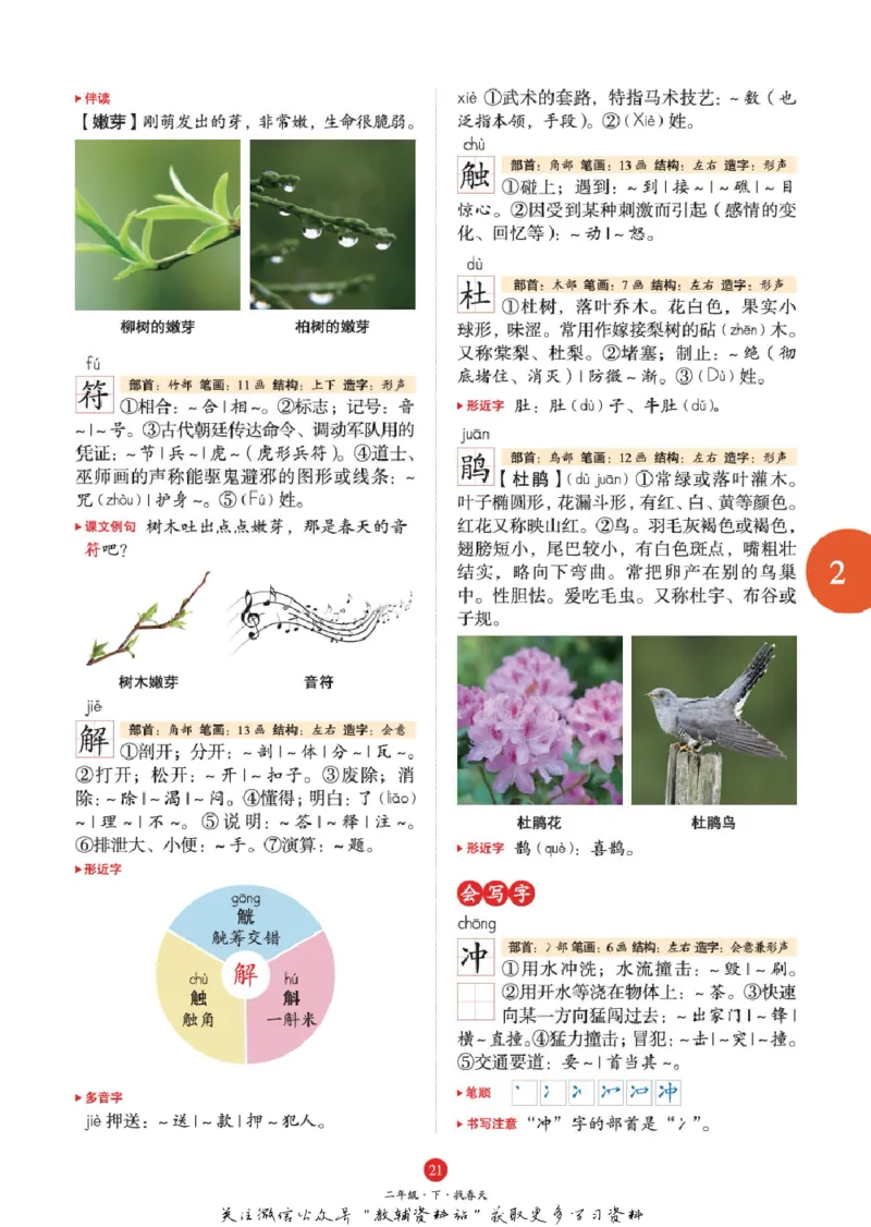 绘本课堂二年级下册语文部编版A1_二年级上下册资料_小学二年级学习资料-25年更新版_2-02、小学二年级语文下册_2-2-2、练习题、作业、试题、试卷_电子册类