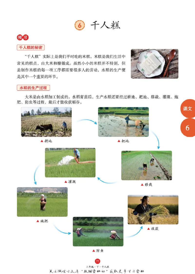 绘本课堂二年级下册语文部编版A1_二年级上下册资料_小学二年级学习资料-25年更新版_2-02、小学二年级语文下册_2-2-2、练习题、作业、试题、试卷_电子册类