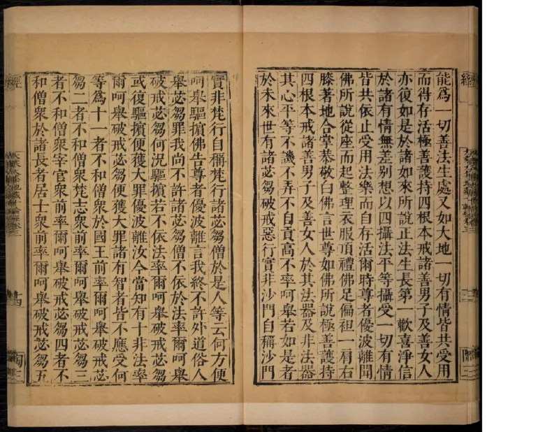 3_绝版书_天涯系列_t涯_绝版古籍电子书合集（13大类）_佛教类_大乘大集地藏十輪經五卷玄奘譯