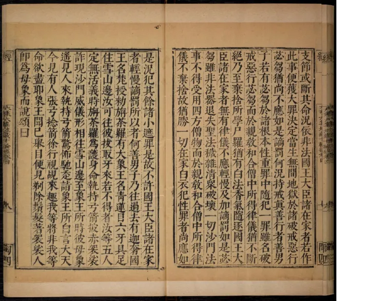 3_绝版书_天涯系列_t涯_绝版古籍电子书合集（13大类）_佛教类_大乘大集地藏十輪經五卷玄奘譯