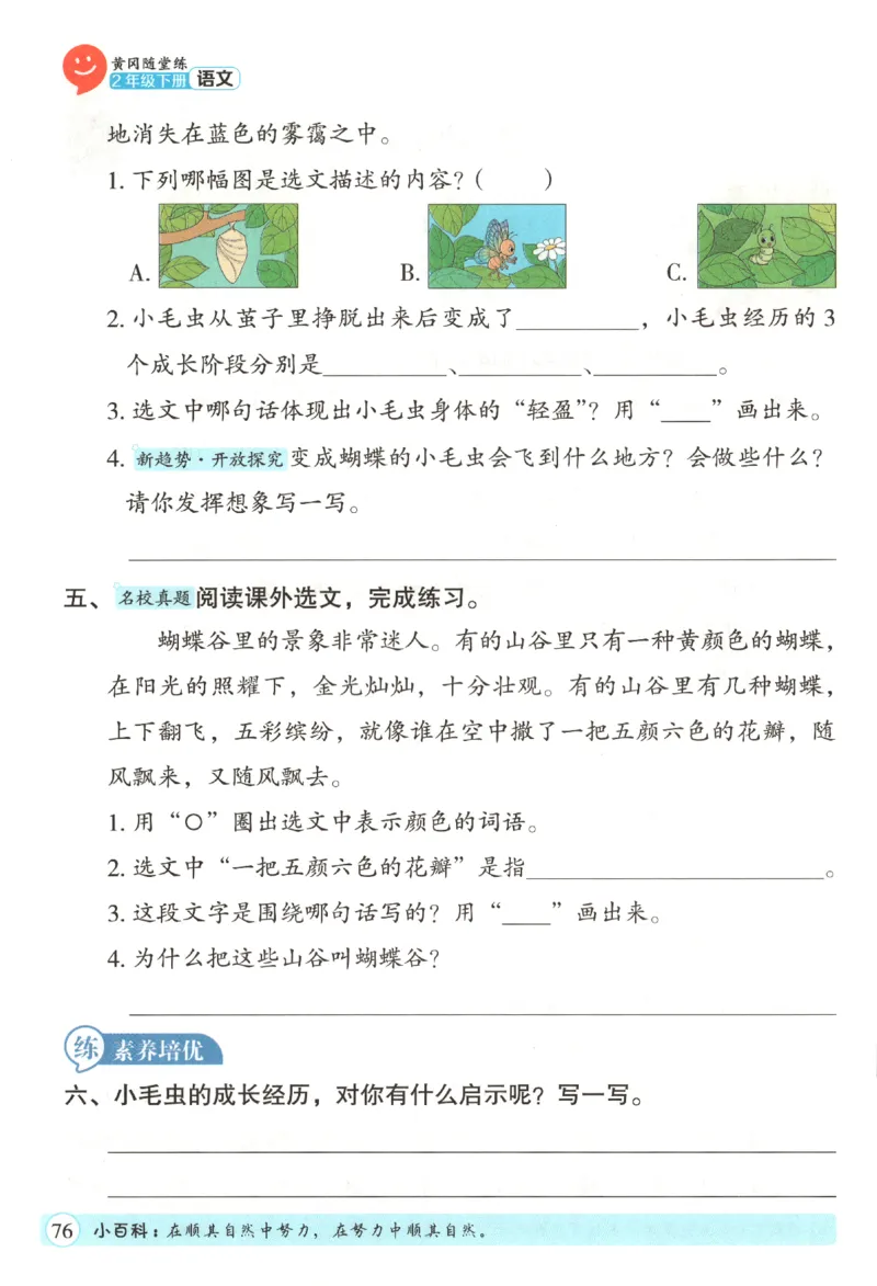 黄冈随堂练.语文2年级.下册_二年级上下册资料_53黄冈多个品牌系列资料_语文