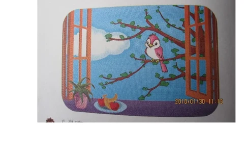 看图写话_二年级上下册资料_二年级语数英上下册学习资料_3-7-2、小学二年级语文下册_统编、部编、人教（语文全国统一只有一个版）_6、专项练习_看图写话