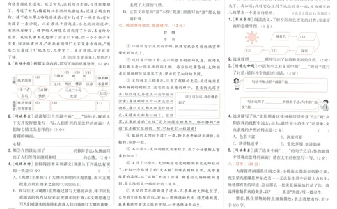 四年级语文上册人教版25秋《拔尖大试卷》_25秋小学语数英习题试卷_语文_1-6年级语文上册人教版25秋《拔尖大试卷》