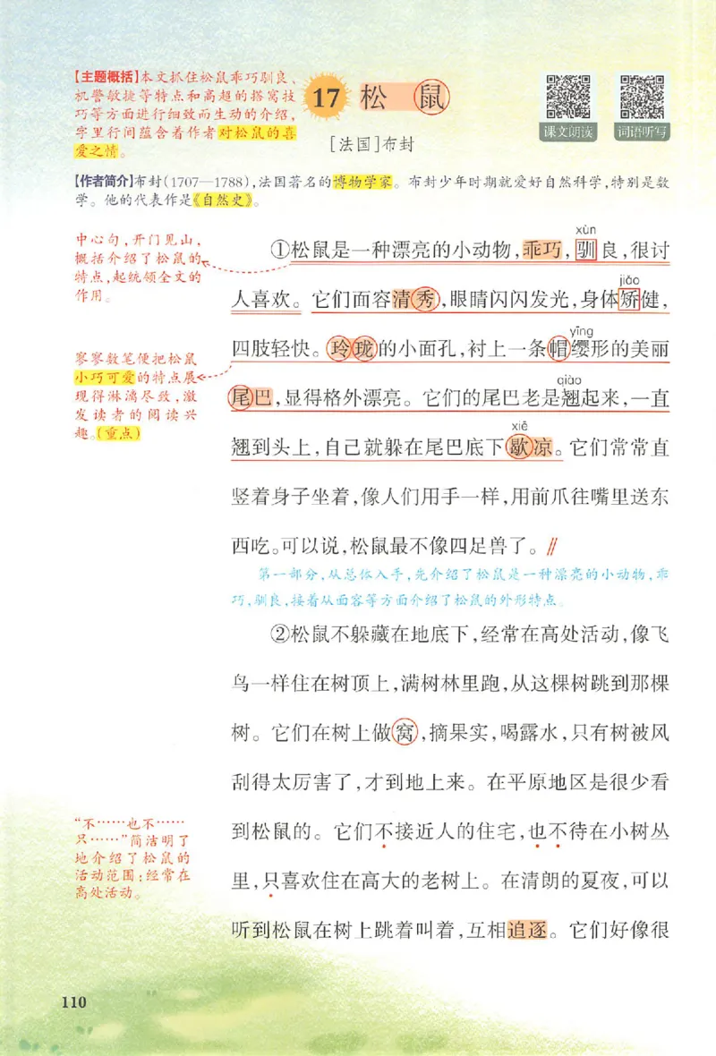 预习笔记五年级_25秋《一本预习笔记》语数外，人教，北师1-6上_25秋《一本预习笔记》语文1-6_五年级预习笔记语文