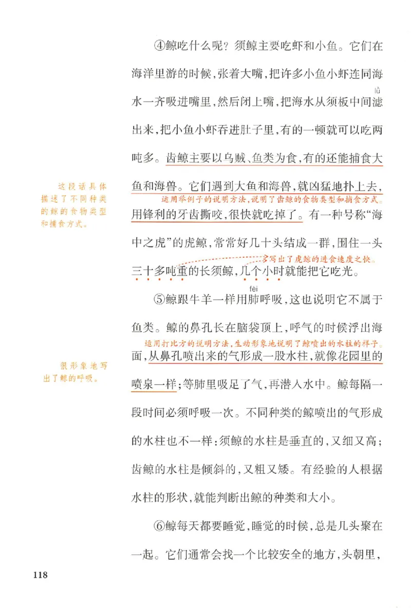 预习笔记五年级_25秋《一本预习笔记》语数外，人教，北师1-6上_25秋《一本预习笔记》语文1-6_五年级预习笔记语文