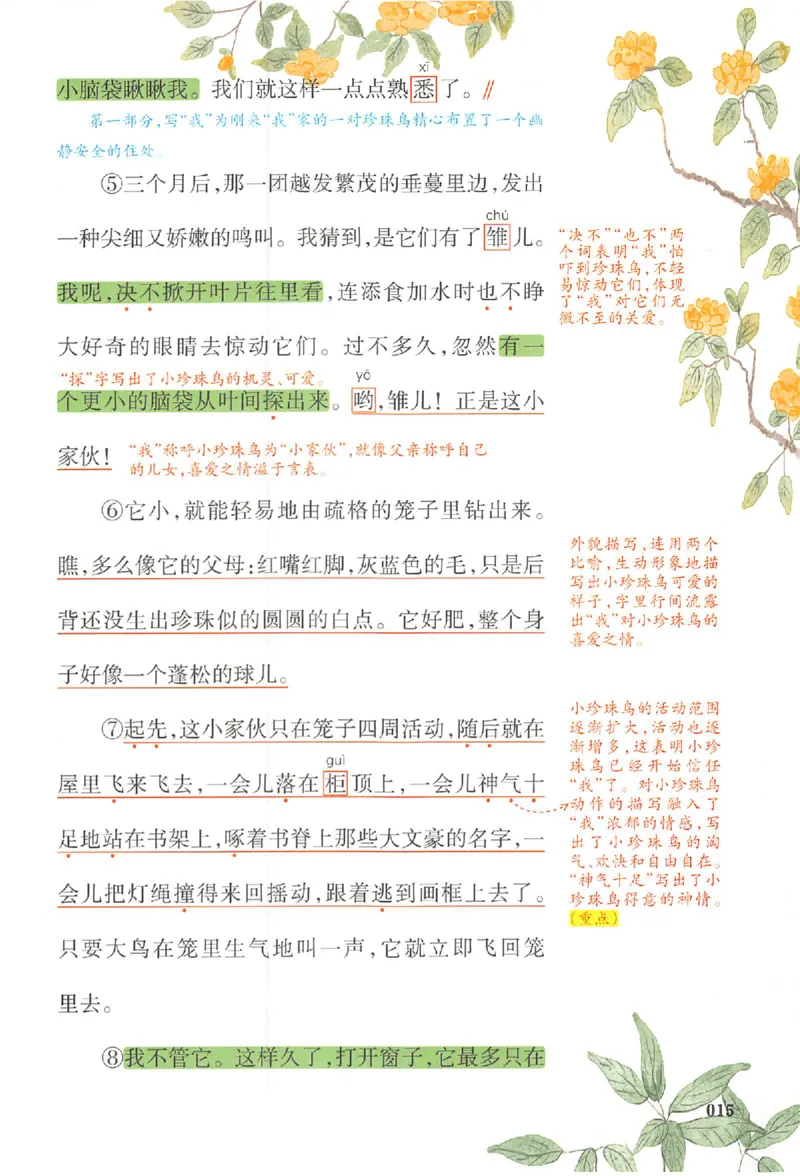 预习笔记五年级_25秋《一本预习笔记》语数外，人教，北师1-6上_25秋《一本预习笔记》语文1-6_五年级预习笔记语文