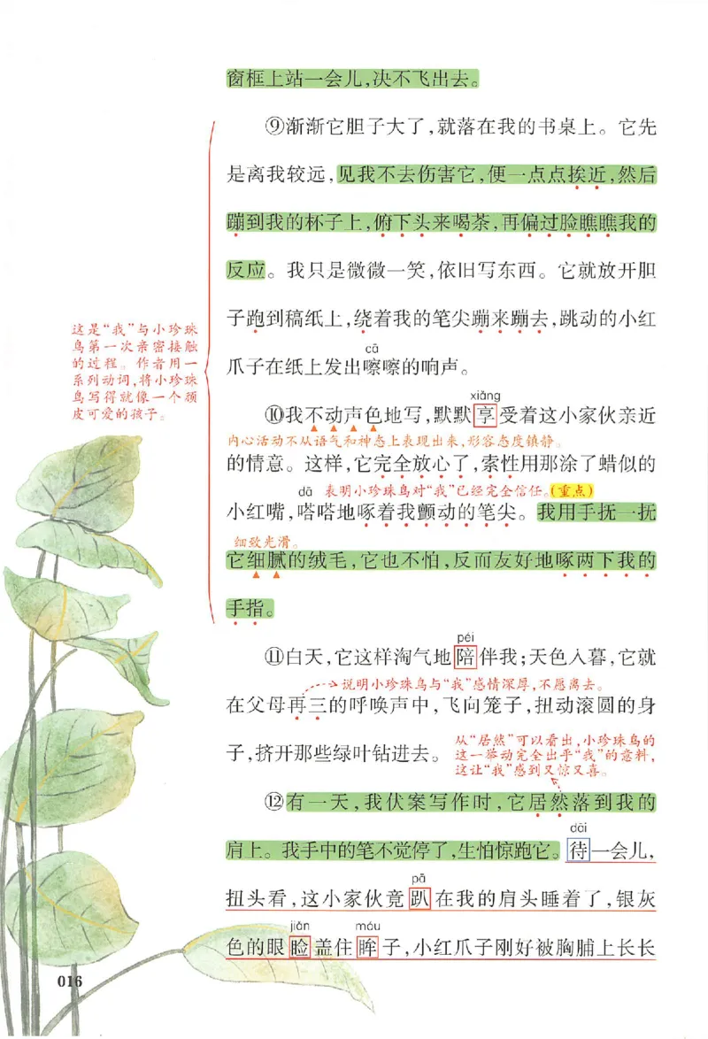 预习笔记五年级_25秋《一本预习笔记》语数外，人教，北师1-6上_25秋《一本预习笔记》语文1-6_五年级预习笔记语文