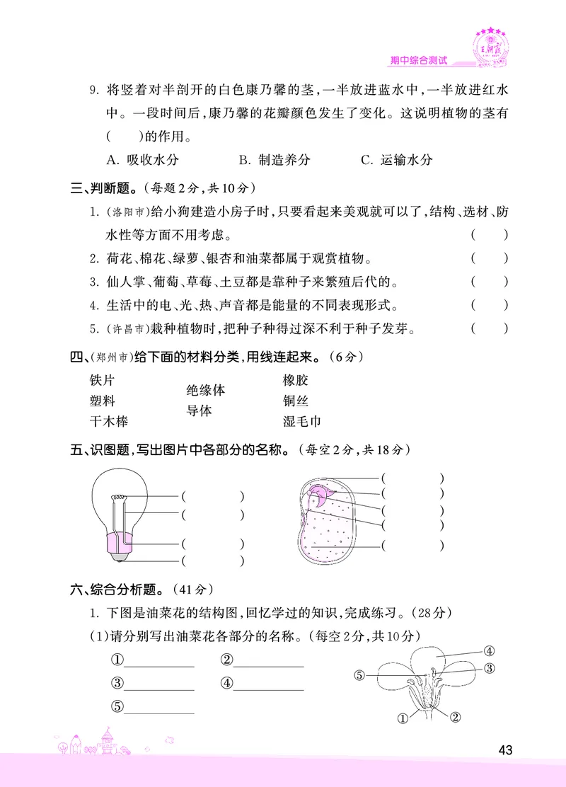 期中综合测试正文_三年级上下册资料_小学三年级学习资料-25年更新版_3-10、小学三年级科学下册_大象版_期中测试卷
