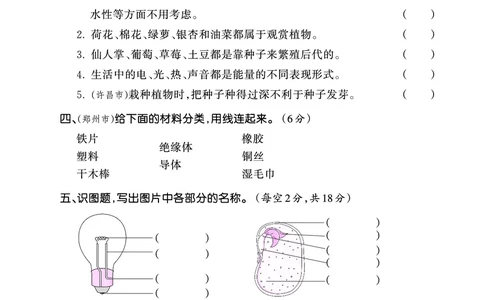 期中综合测试正文_三年级上下册资料_小学三年级学习资料-25年更新版_3-10、小学三年级科学下册_大象版_期中测试卷
