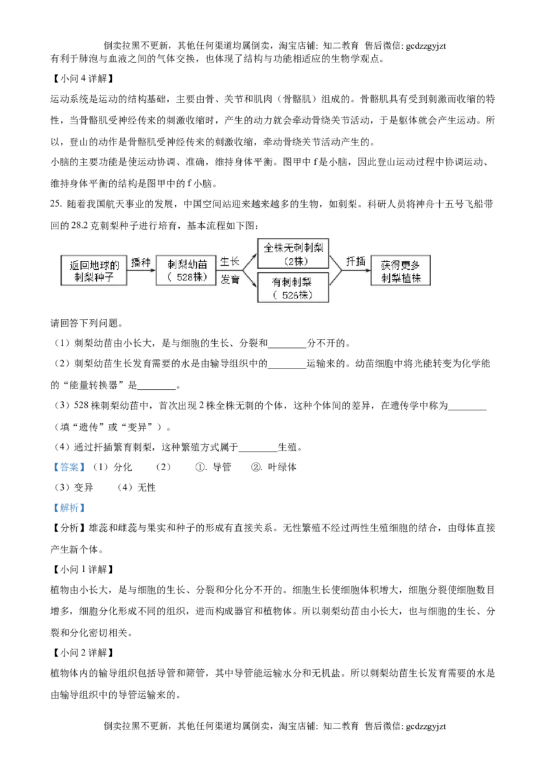 精品解析：2025年吉林省长春市中考生物真题（解析版）_吉林省长春市-历年中考真题_9-吉林省长春市-中考生物（21-25）_精品解析：2025年吉林省长春市中考生物真题