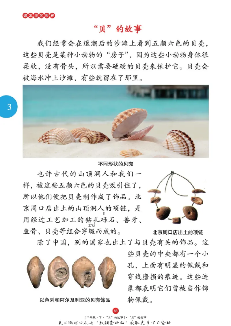 绘本课堂二年级下册语文部编版年级阅读_二年级上下册资料_小学二年级学习资料-25年更新版_2-02、小学二年级语文下册_2-2-2、练习题、作业、试题、试卷_电子册类