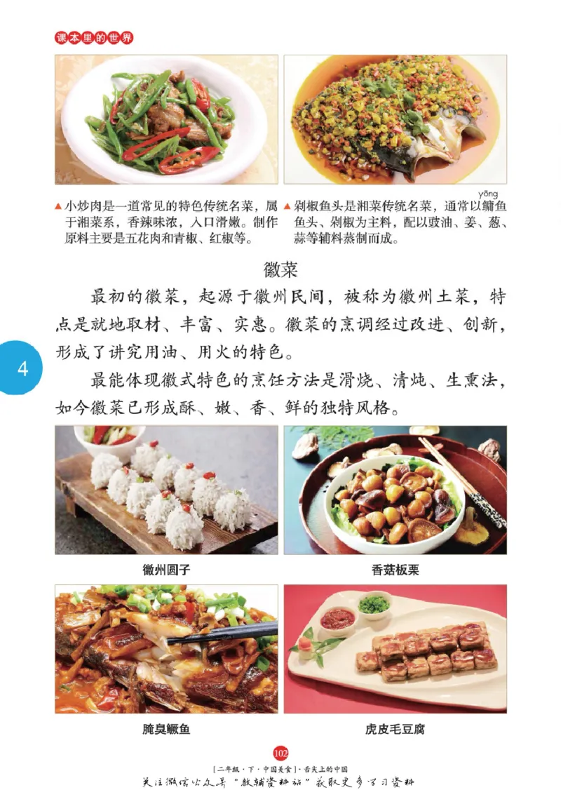 绘本课堂二年级下册语文部编版年级阅读_二年级上下册资料_小学二年级学习资料-25年更新版_2-02、小学二年级语文下册_2-2-2、练习题、作业、试题、试卷_电子册类