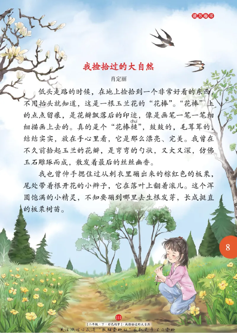 绘本课堂二年级下册语文部编版年级阅读_二年级上下册资料_小学二年级学习资料-25年更新版_2-02、小学二年级语文下册_2-2-2、练习题、作业、试题、试卷_电子册类