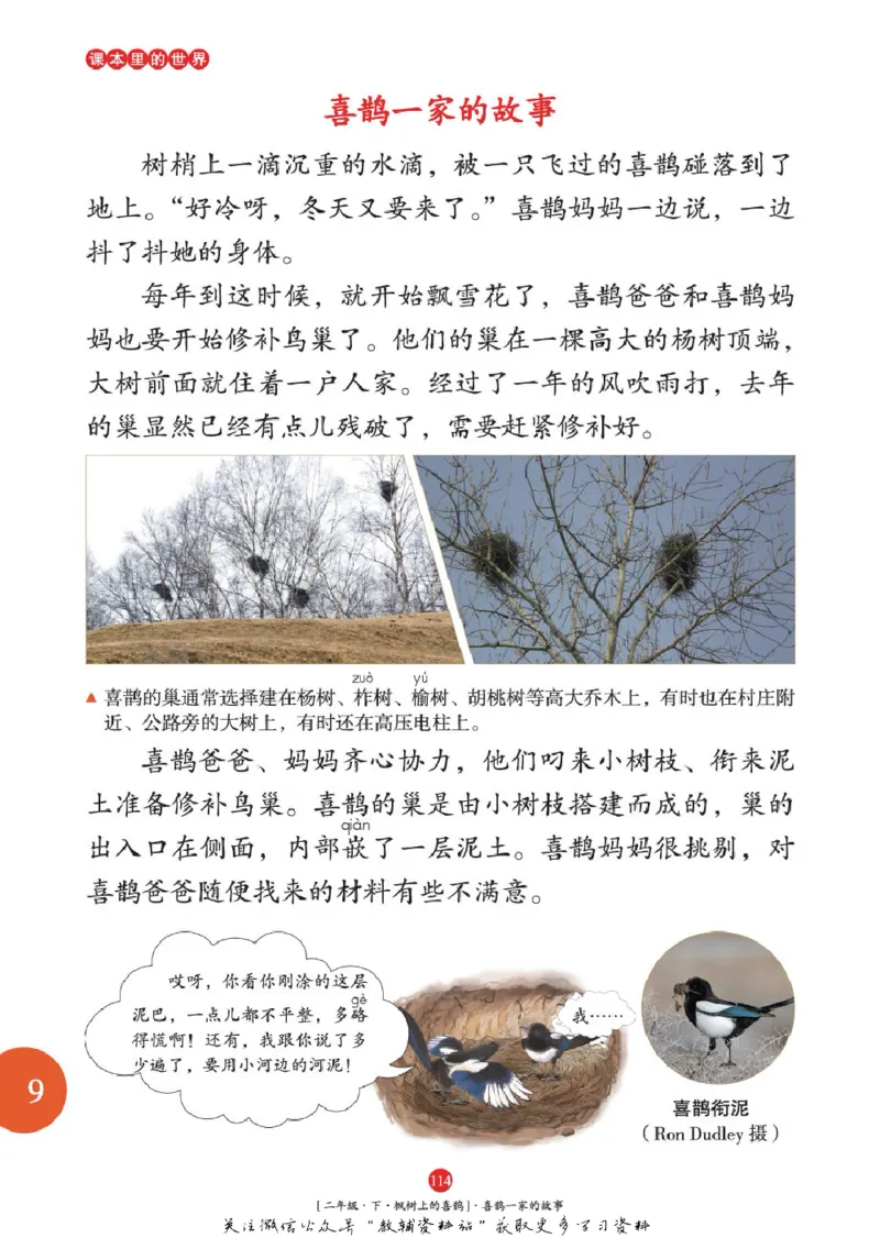 绘本课堂二年级下册语文部编版年级阅读_二年级上下册资料_小学二年级学习资料-25年更新版_2-02、小学二年级语文下册_2-2-2、练习题、作业、试题、试卷_电子册类