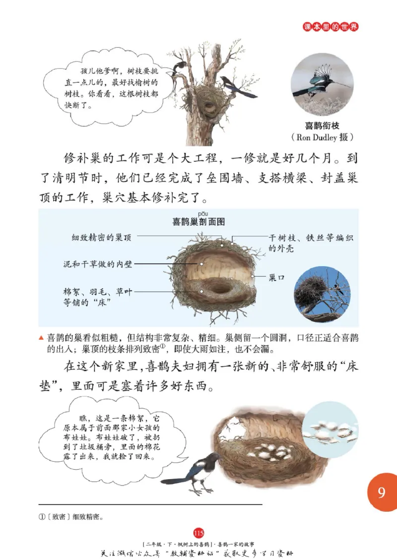 绘本课堂二年级下册语文部编版年级阅读_二年级上下册资料_小学二年级学习资料-25年更新版_2-02、小学二年级语文下册_2-2-2、练习题、作业、试题、试卷_电子册类