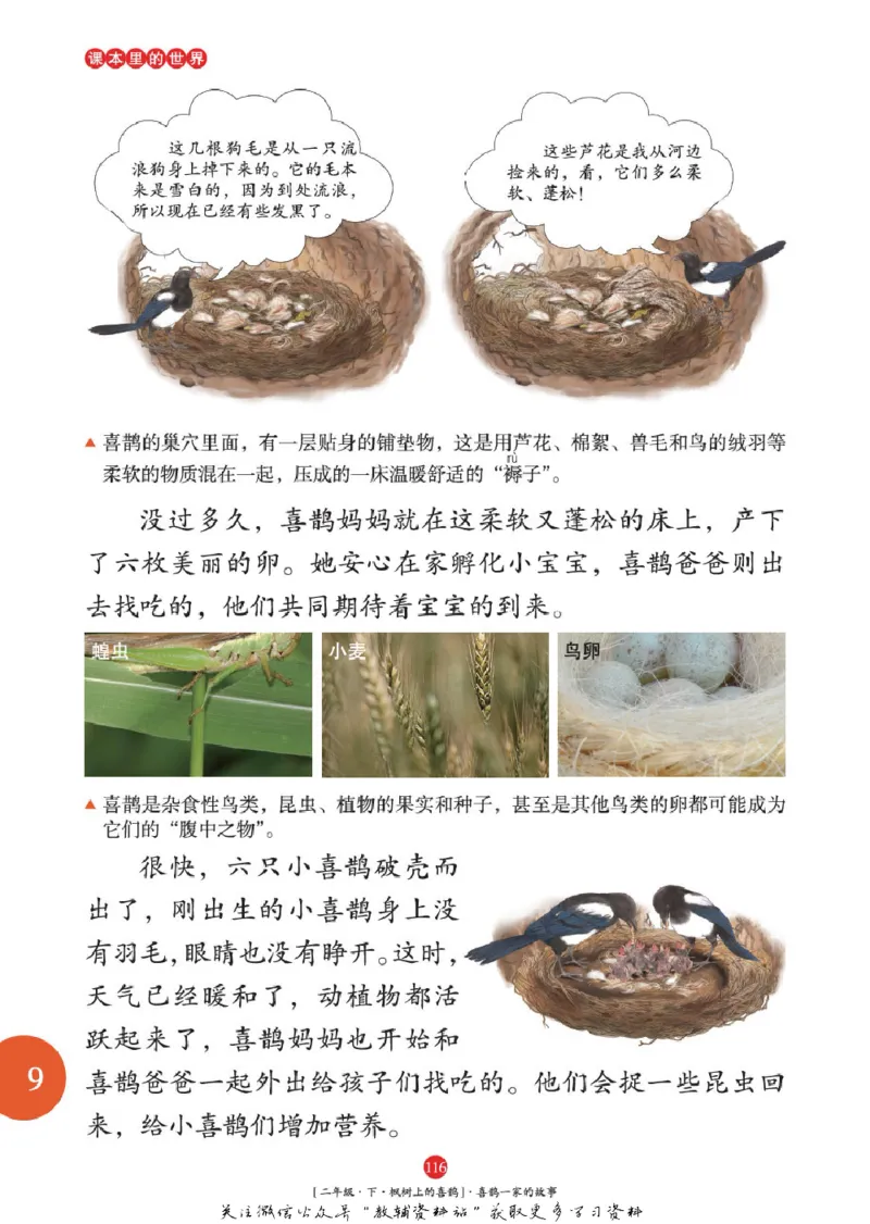 绘本课堂二年级下册语文部编版年级阅读_二年级上下册资料_小学二年级学习资料-25年更新版_2-02、小学二年级语文下册_2-2-2、练习题、作业、试题、试卷_电子册类