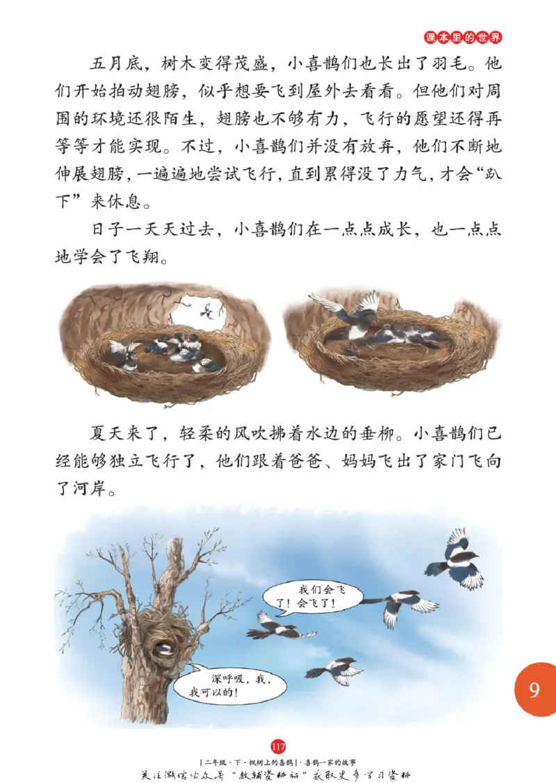 绘本课堂二年级下册语文部编版年级阅读_二年级上下册资料_小学二年级学习资料-25年更新版_2-02、小学二年级语文下册_2-2-2、练习题、作业、试题、试卷_电子册类