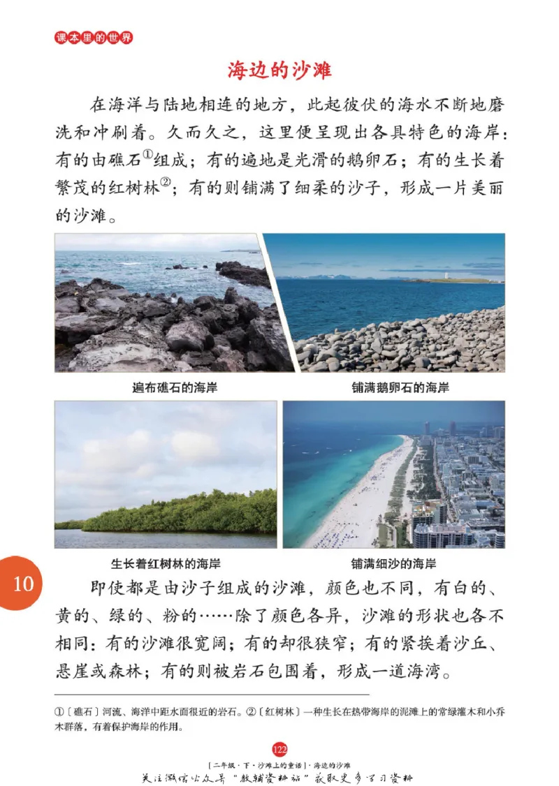 绘本课堂二年级下册语文部编版年级阅读_二年级上下册资料_小学二年级学习资料-25年更新版_2-02、小学二年级语文下册_2-2-2、练习题、作业、试题、试卷_电子册类