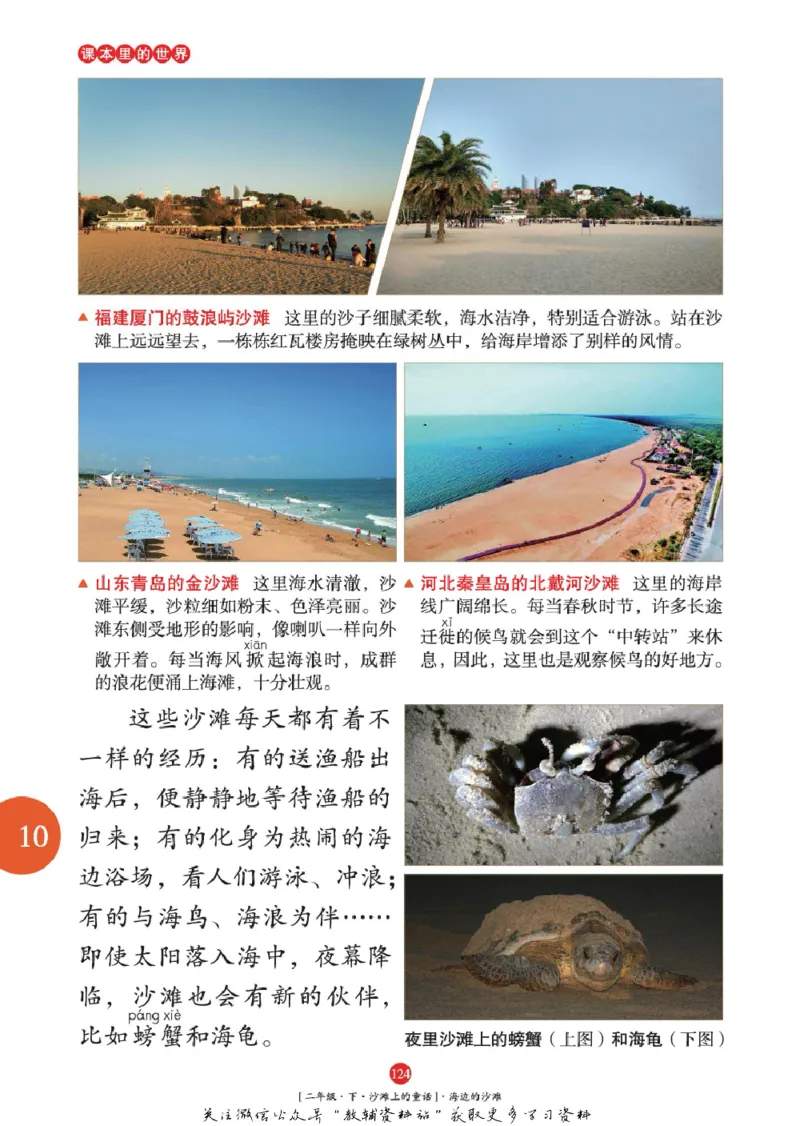 绘本课堂二年级下册语文部编版年级阅读_二年级上下册资料_小学二年级学习资料-25年更新版_2-02、小学二年级语文下册_2-2-2、练习题、作业、试题、试卷_电子册类