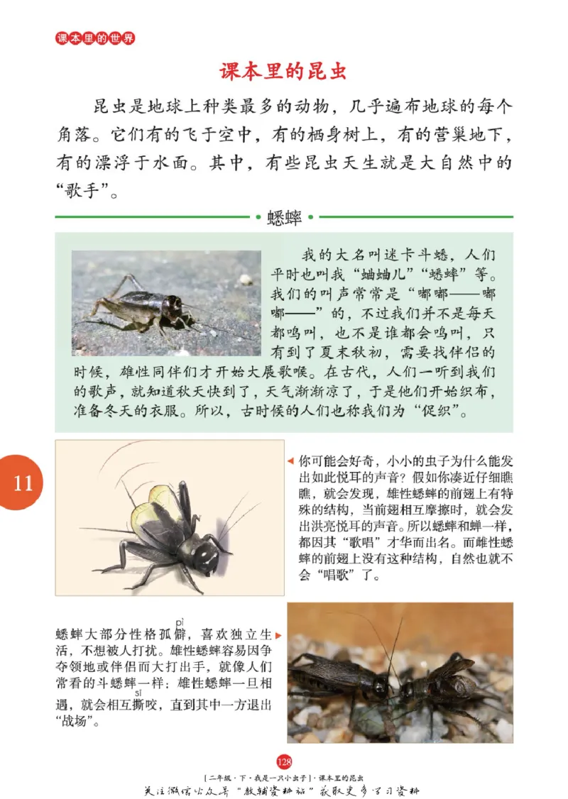 绘本课堂二年级下册语文部编版年级阅读_二年级上下册资料_小学二年级学习资料-25年更新版_2-02、小学二年级语文下册_2-2-2、练习题、作业、试题、试卷_电子册类