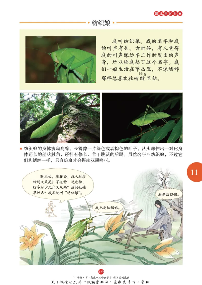 绘本课堂二年级下册语文部编版年级阅读_二年级上下册资料_小学二年级学习资料-25年更新版_2-02、小学二年级语文下册_2-2-2、练习题、作业、试题、试卷_电子册类