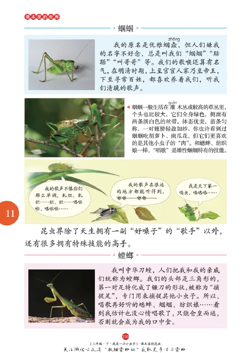 绘本课堂二年级下册语文部编版年级阅读_二年级上下册资料_小学二年级学习资料-25年更新版_2-02、小学二年级语文下册_2-2-2、练习题、作业、试题、试卷_电子册类