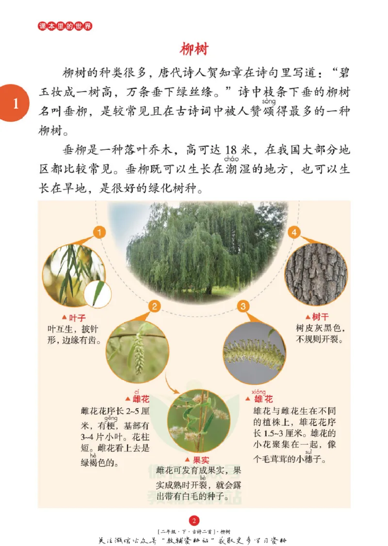 绘本课堂二年级下册语文部编版年级阅读_二年级上下册资料_小学二年级学习资料-25年更新版_2-02、小学二年级语文下册_2-2-2、练习题、作业、试题、试卷_电子册类