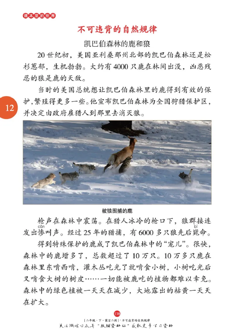 绘本课堂二年级下册语文部编版年级阅读_二年级上下册资料_小学二年级学习资料-25年更新版_2-02、小学二年级语文下册_2-2-2、练习题、作业、试题、试卷_电子册类