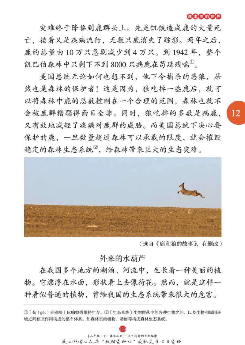 绘本课堂二年级下册语文部编版年级阅读_二年级上下册资料_小学二年级学习资料-25年更新版_2-02、小学二年级语文下册_2-2-2、练习题、作业、试题、试卷_电子册类