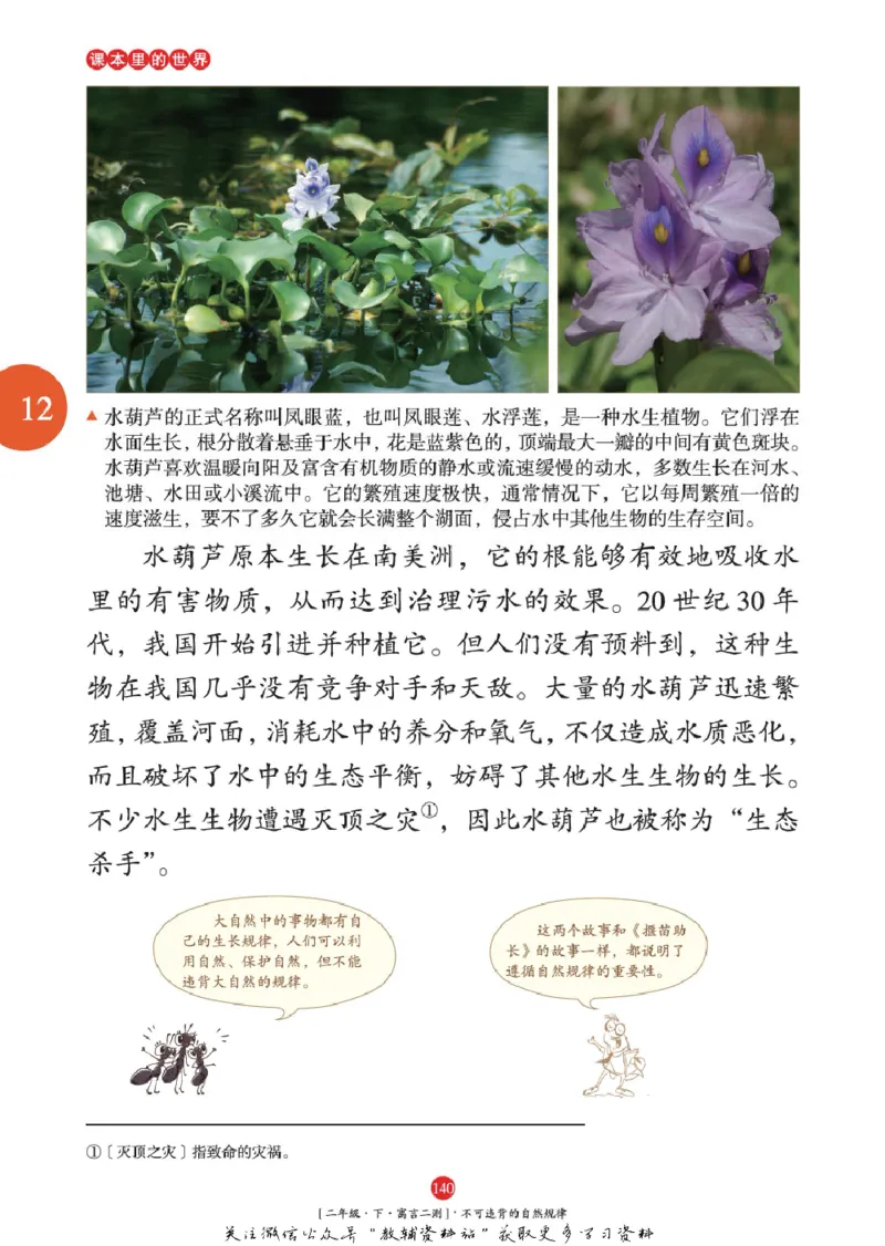 绘本课堂二年级下册语文部编版年级阅读_二年级上下册资料_小学二年级学习资料-25年更新版_2-02、小学二年级语文下册_2-2-2、练习题、作业、试题、试卷_电子册类