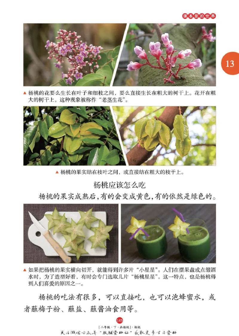 绘本课堂二年级下册语文部编版年级阅读_二年级上下册资料_小学二年级学习资料-25年更新版_2-02、小学二年级语文下册_2-2-2、练习题、作业、试题、试卷_电子册类