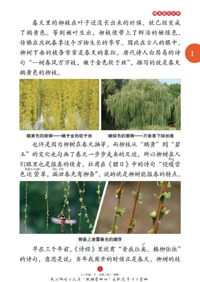 绘本课堂二年级下册语文部编版年级阅读_二年级上下册资料_小学二年级学习资料-25年更新版_2-02、小学二年级语文下册_2-2-2、练习题、作业、试题、试卷_电子册类