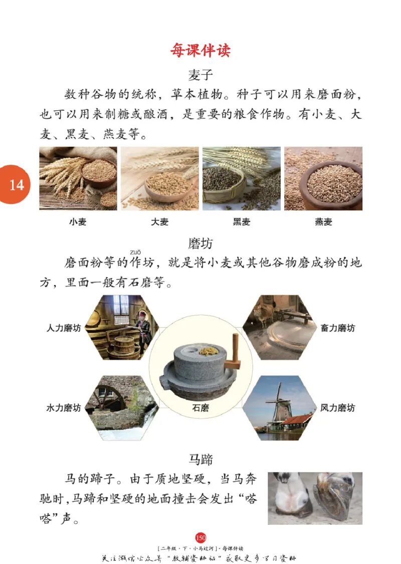 绘本课堂二年级下册语文部编版年级阅读_二年级上下册资料_小学二年级学习资料-25年更新版_2-02、小学二年级语文下册_2-2-2、练习题、作业、试题、试卷_电子册类