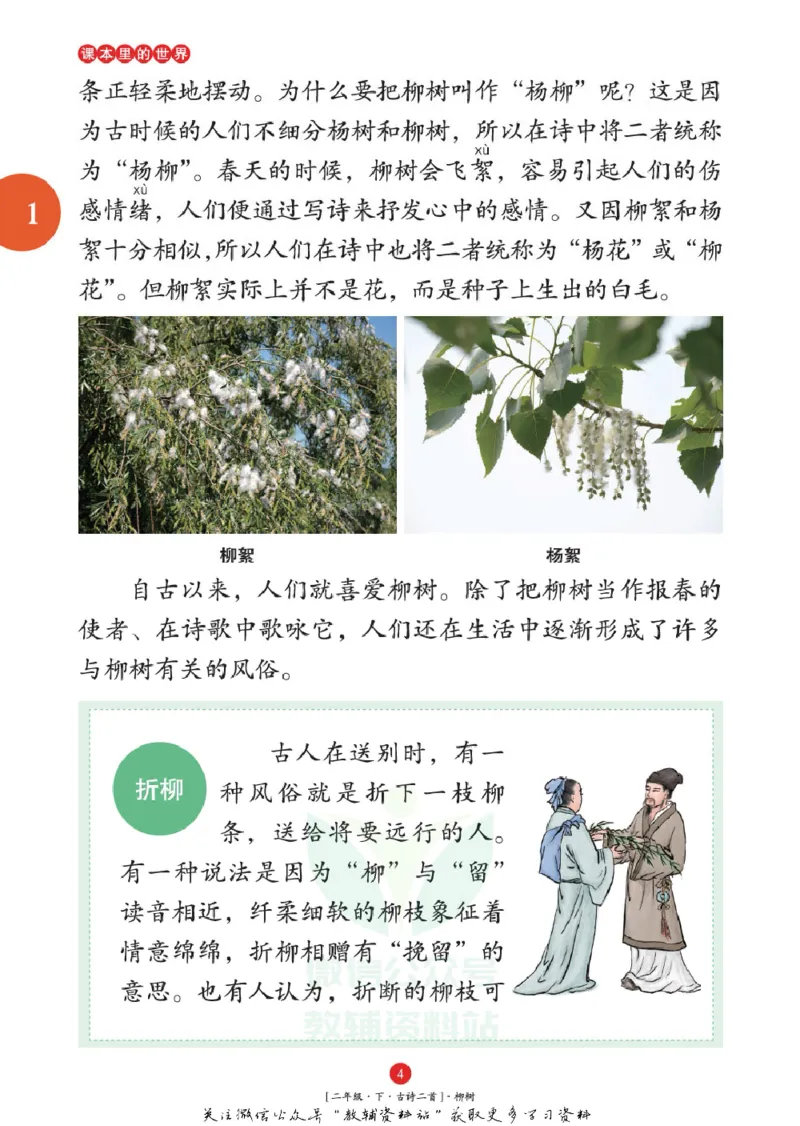 绘本课堂二年级下册语文部编版年级阅读_二年级上下册资料_小学二年级学习资料-25年更新版_2-02、小学二年级语文下册_2-2-2、练习题、作业、试题、试卷_电子册类