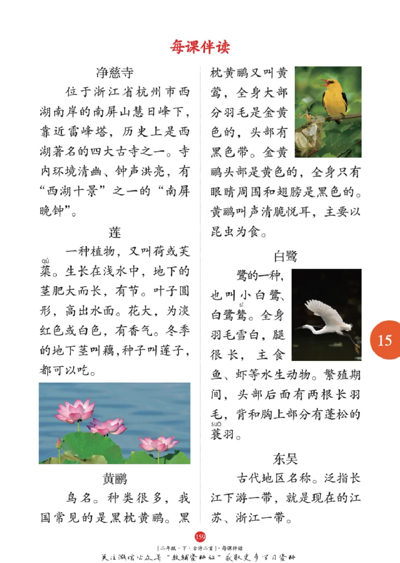 绘本课堂二年级下册语文部编版年级阅读_二年级上下册资料_小学二年级学习资料-25年更新版_2-02、小学二年级语文下册_2-2-2、练习题、作业、试题、试卷_电子册类