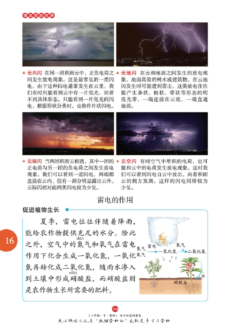 绘本课堂二年级下册语文部编版年级阅读_二年级上下册资料_小学二年级学习资料-25年更新版_2-02、小学二年级语文下册_2-2-2、练习题、作业、试题、试卷_电子册类