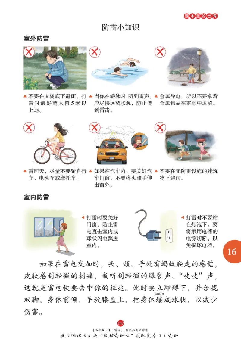 绘本课堂二年级下册语文部编版年级阅读_二年级上下册资料_小学二年级学习资料-25年更新版_2-02、小学二年级语文下册_2-2-2、练习题、作业、试题、试卷_电子册类