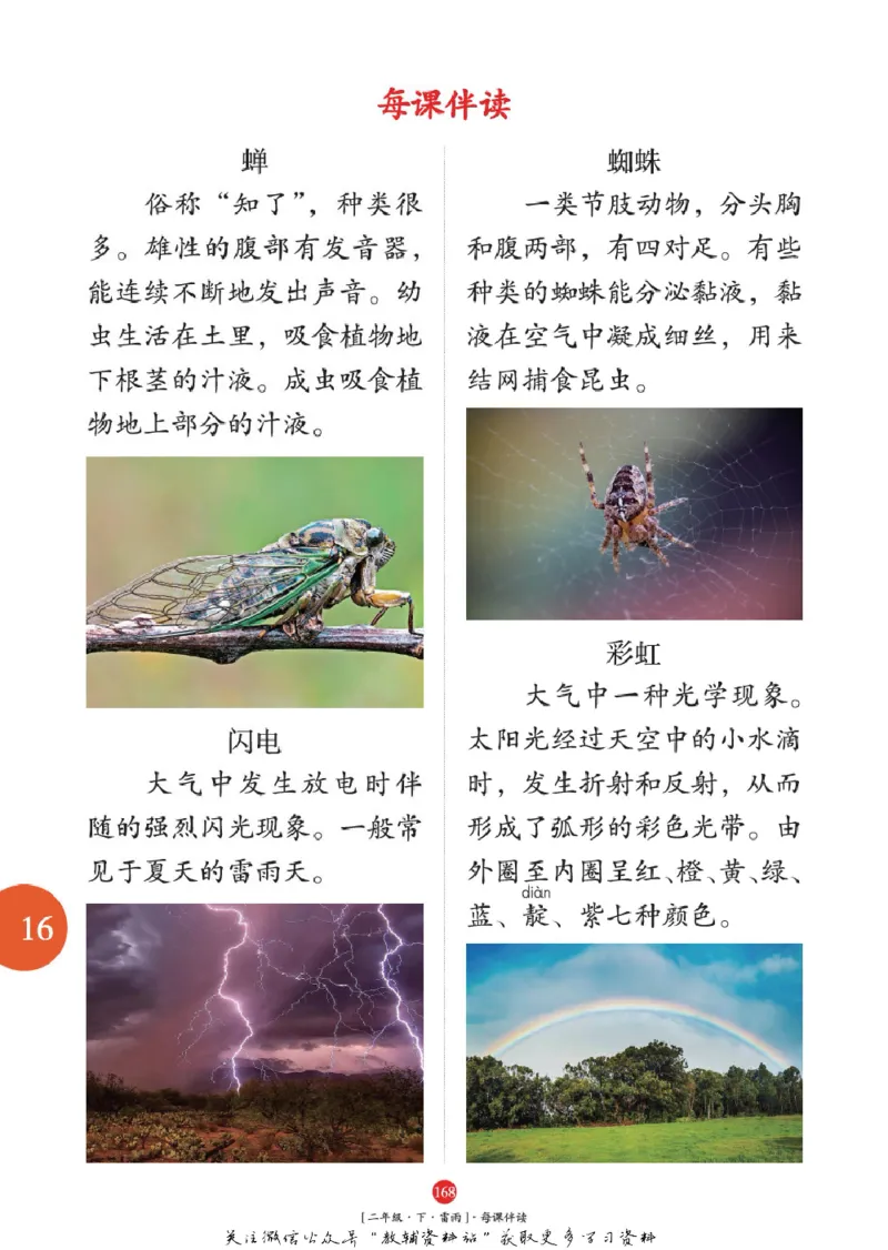 绘本课堂二年级下册语文部编版年级阅读_二年级上下册资料_小学二年级学习资料-25年更新版_2-02、小学二年级语文下册_2-2-2、练习题、作业、试题、试卷_电子册类