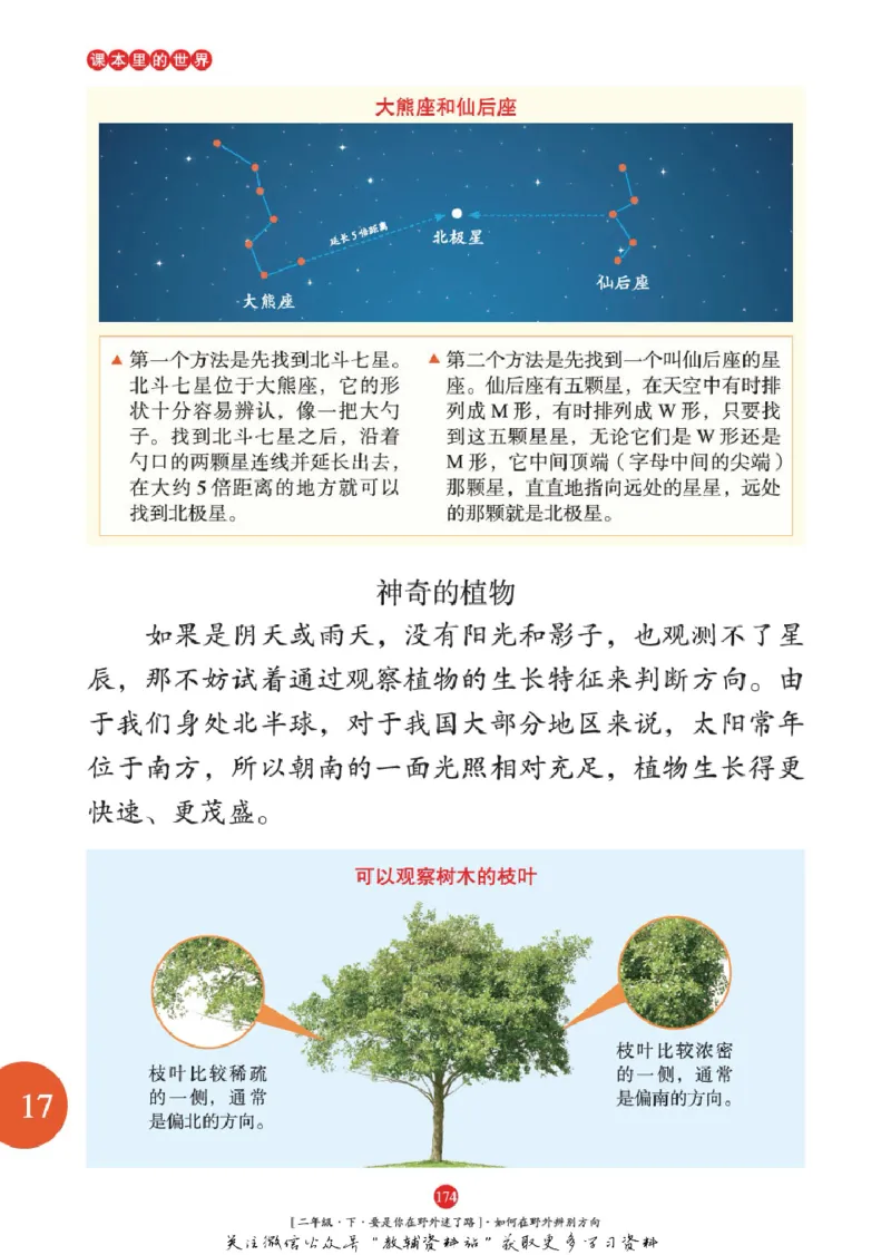 绘本课堂二年级下册语文部编版年级阅读_二年级上下册资料_小学二年级学习资料-25年更新版_2-02、小学二年级语文下册_2-2-2、练习题、作业、试题、试卷_电子册类