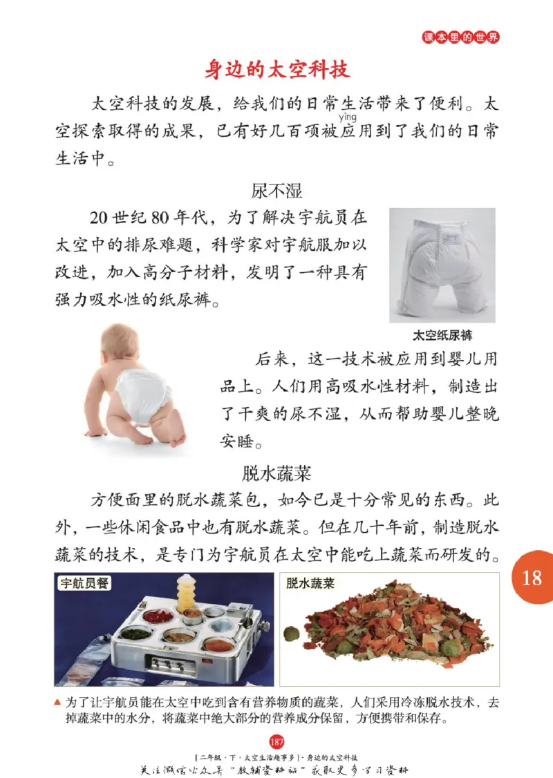 绘本课堂二年级下册语文部编版年级阅读_二年级上下册资料_小学二年级学习资料-25年更新版_2-02、小学二年级语文下册_2-2-2、练习题、作业、试题、试卷_电子册类