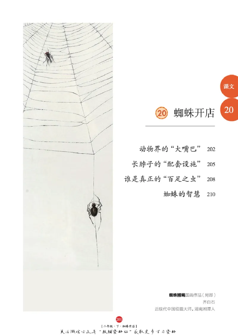 绘本课堂二年级下册语文部编版年级阅读_二年级上下册资料_小学二年级学习资料-25年更新版_2-02、小学二年级语文下册_2-2-2、练习题、作业、试题、试卷_电子册类