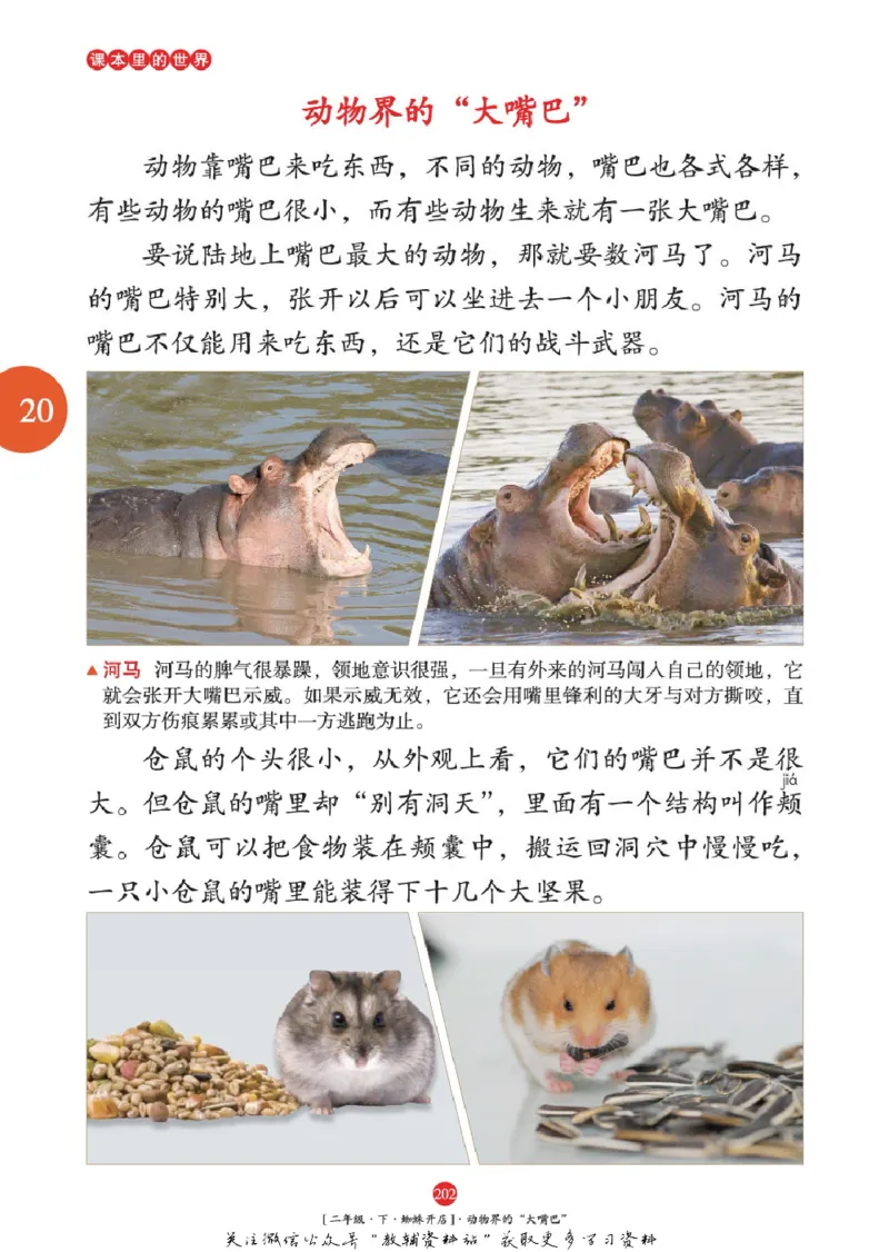 绘本课堂二年级下册语文部编版年级阅读_二年级上下册资料_小学二年级学习资料-25年更新版_2-02、小学二年级语文下册_2-2-2、练习题、作业、试题、试卷_电子册类